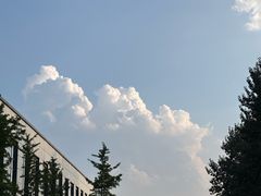 -北京国家会计学院