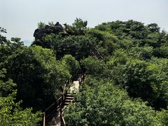 -大岭沟猕猴桃谷风景区