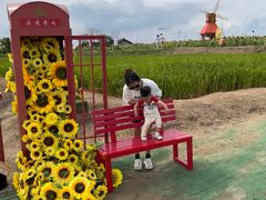 -杭州湾海上花田景区