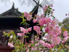 -豫园