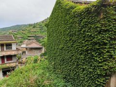 -枸杞岛