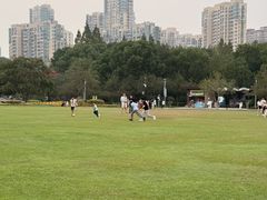 -青枫公园