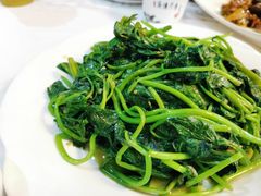 番薯叶-美味佳缘客家食府(龙岗中心城店)