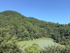 -广州白江湖森林公园