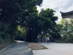 -广州市白云山风景名胜区