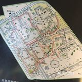 春晖园散心