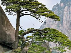 -黄山风景区