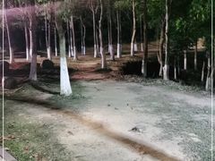 -凤岗南门山森林公园