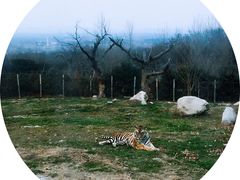 -西安秦岭野生动物园