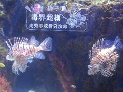 -南昌融创海世界