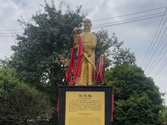 -张醪糟