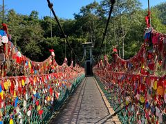 -西双版纳原始森林公园