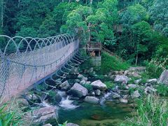 -海南热带雨林国家公园吊罗山景区