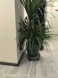 -北京炫美医疗美容