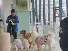 -怪兽屋·羊驼·猫咖·狗咖(俊华广场店)