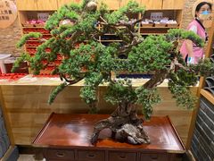 -青水瓦台汤泉(新华店)