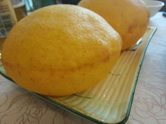 android_upload_pic-羊上树(南门外店)