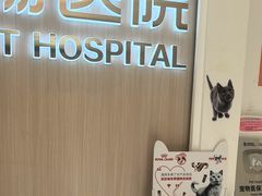 -瑞派·关忠动物医院·猫专科·犬专科(三环新城店)
