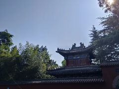 -洛阳白马寺