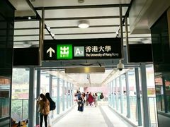 -香港大学