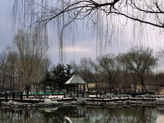 -望湖公园