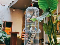 -ChitChat奇洽·Bistro(黎黄陂路店)