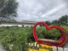 -绿堤公园