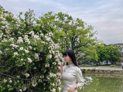 -江心屿景区