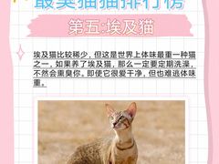 -美联众合动物医院·24h转诊中心