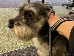 -Ann COFFEE(来福士店)