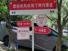 -阿巧茶庄