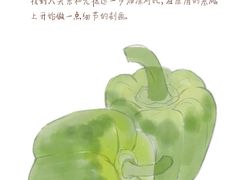 -CGWANG王氏教育(上海校区)