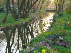 -上海共青森林公园