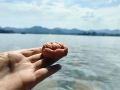 -柳莺湖上·湖景餐厅·江南菜(西湖店)