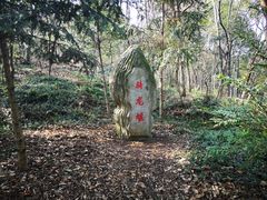 -上海佘山国家森林公园天马山园