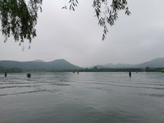 -西湖外事游船(花港观鱼码头)