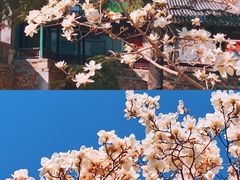-颐和园