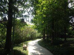 -凤城河风景区