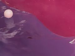 -广州融创水世界