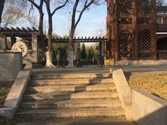 -永定河休闲森林公园