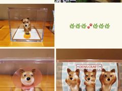 -柴务处·柴犬主题狗咖