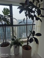 -HEYAN荷妍专业脱毛连锁机构