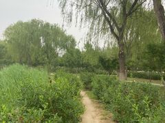 -圣莲山风景区