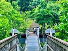 -东莞植物园
