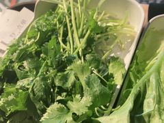 精品肥牛-季季红火锅(动壹店)