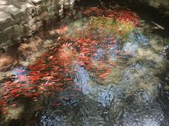 -水磨沟公园