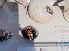 -重庆建川博物馆