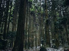 -上色见熊野座神社