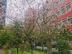 -崇仁路小学