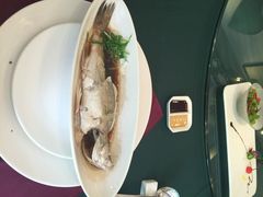 iphone_upload_pic-十八棵（老龙井）御茶园(老龙井店)